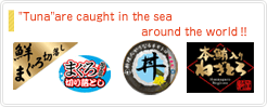 "Tuna"are caught in the sea around the world！